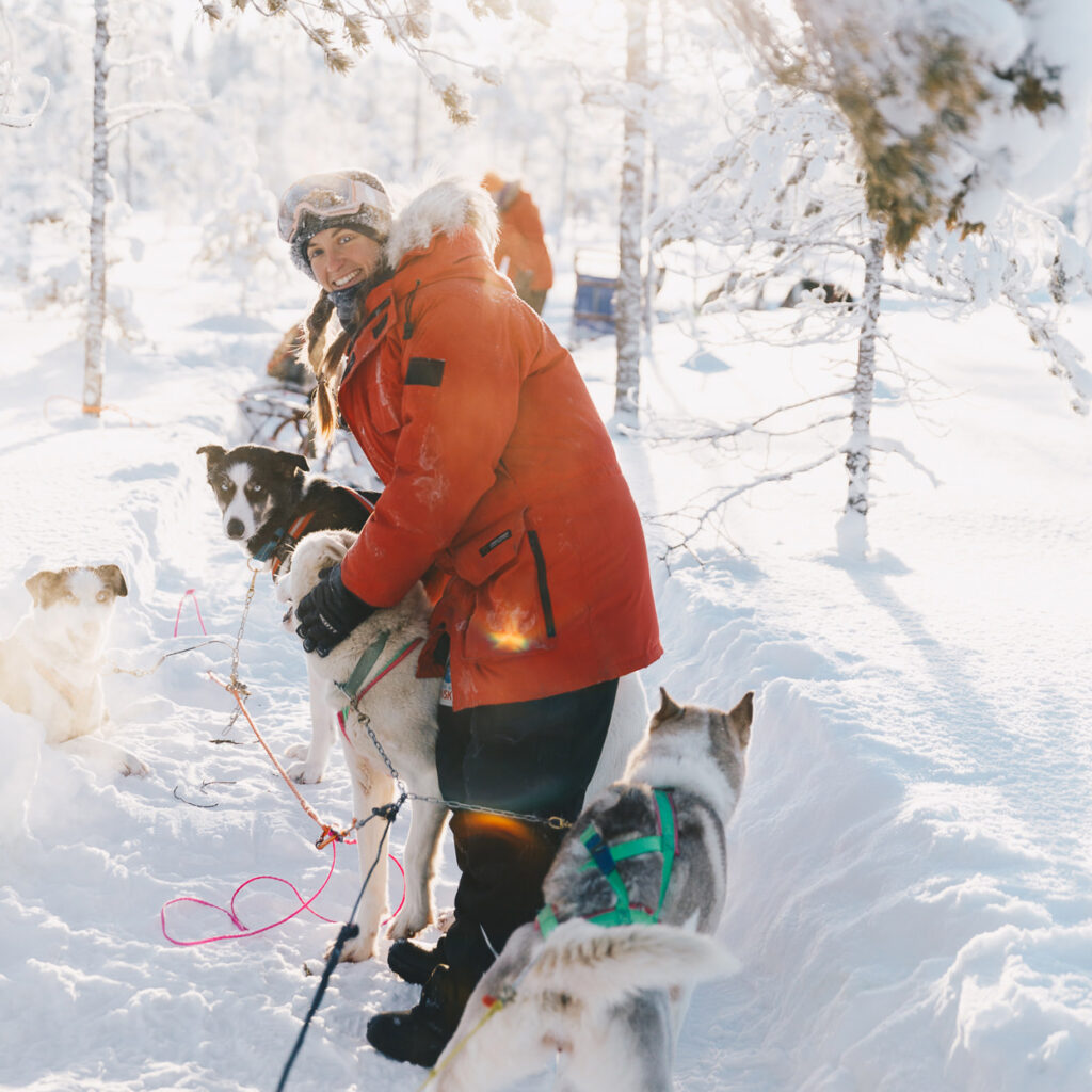 Musher kramar om husky